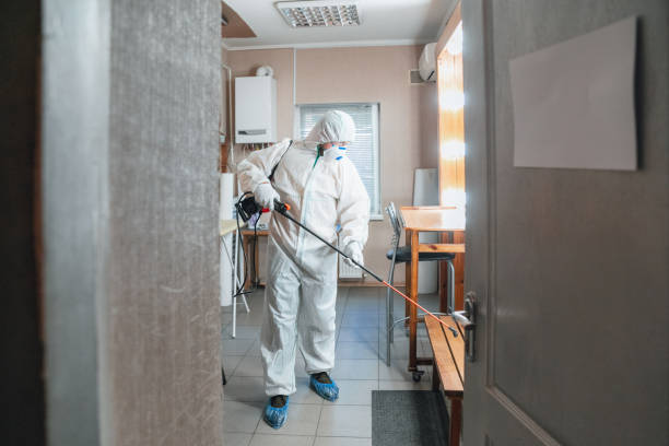 Biohazard Mold Removal in Hopatcong, NJ