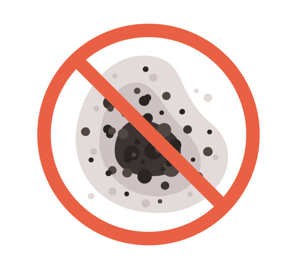 Best Emergency Mold Remediation  in Hopatcong, NJ