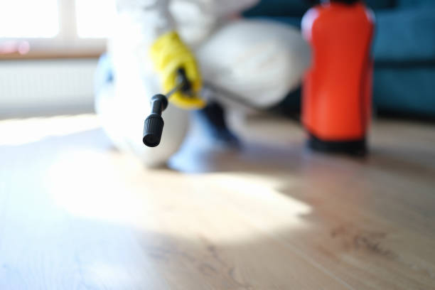 Best Mold Damage Restoration  in Hopatcong, NJ