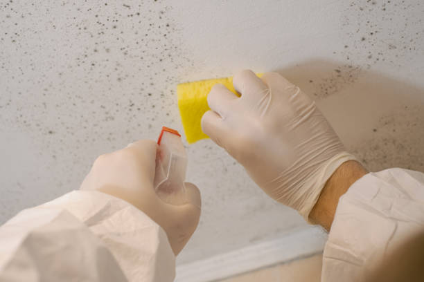 Best Airborne Mold Testing  in Hopatcong, NJ