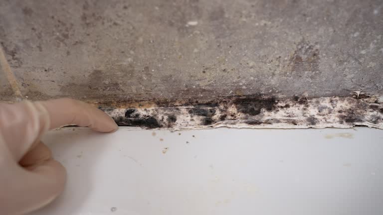 Best Dehumidification Services  in Hopatcong, NJ